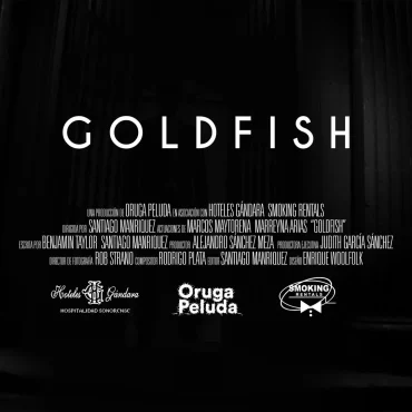 Goldfish (2019)